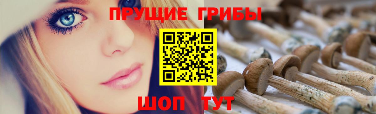 Воскресенск  Галлюциногенные грибы Psilocybine cubensis  Вход с VPN  Псилоцибиновые грибы Cubensis 